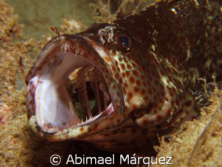 Ahhhhhhhh, Crash Boat, Aguadilla, PR. by Abimael Márquez 