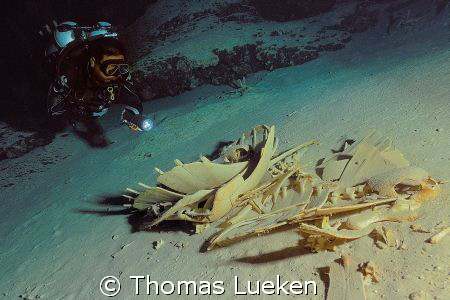 Turtle cave in sipadan, D200 by Thomas Lueken 