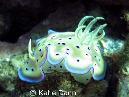 Taken with Canon G9 in Alor by Katie Dann 