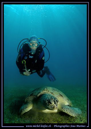 A beautiful moment between my wife and this huge "Green T... by Michel Lonfat 