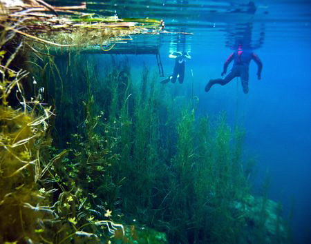 Free divers in the "crack" at Piccannie ponds, South Aust... by Cal Mero 