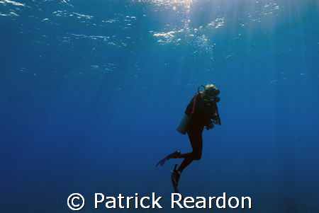 Sun's rays safety stop.  Grand Cayman.  Nikon 12-24/L&M h... by Patrick Reardon 