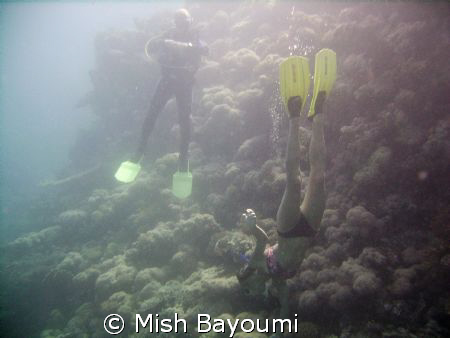 a very pleasant safety stop by Mish Bayoumi 