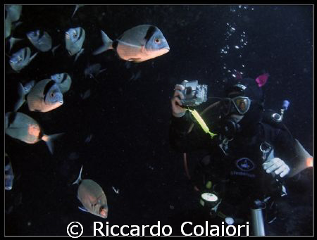 My Wife: "The Underwater Photographer" by Riccardo Colaiori 