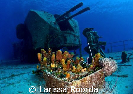 Deck Guns on the MV Captain Keith Tibbett's wreck in Caym... by Larissa Roorda 