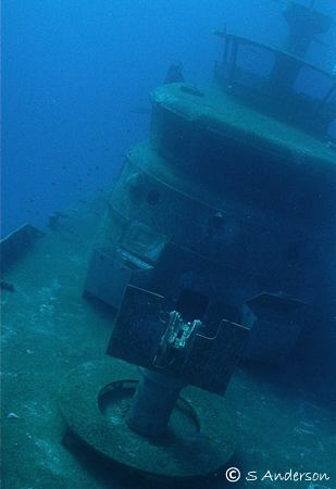 This photo was taken last year while diving off Nassau. T... by Steven Anderson 