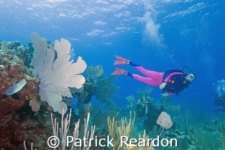 Wife and dive buddy in a scene with sea fan in Grand Cayman. by Patrick Reardon 