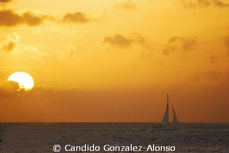 Back from Bonaire sunsets and sailboats lost in the horrizon by Candido Gonzalez-Alonso 