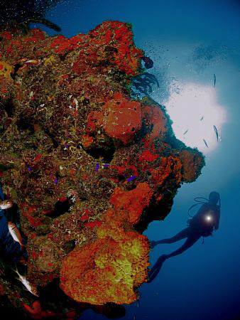 Another one of a scubadiver... by Juan Torres 