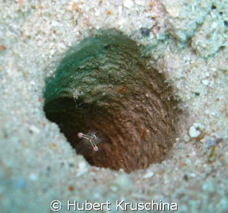 not sure what this actually is.. at first I only saw the ... by Hubert Kruschina 