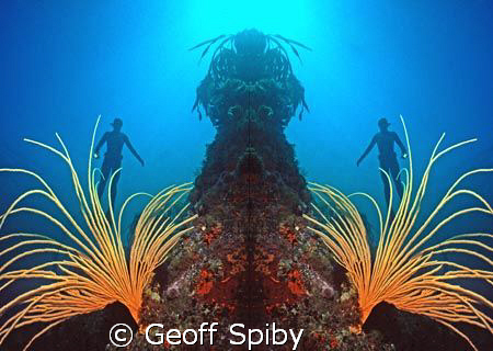 mirror image-snorkelling in Cape Town by Geoff Spiby 