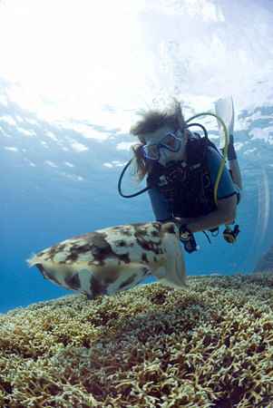 My friend watching a cuttlefish laying eggs on the reef by Erika Antoniazzo 