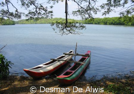 i like sri lanka by Desman De Alwis 