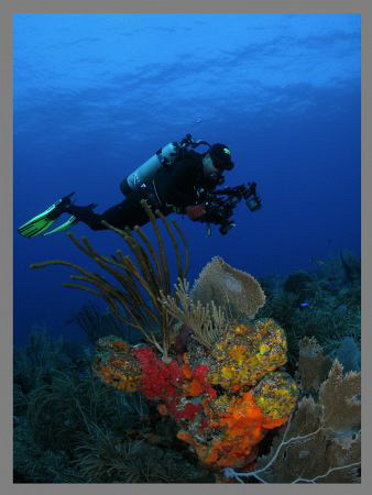 My diving buddy Abimael.   by Juan Torres 
