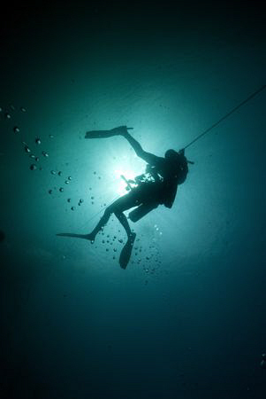 Divers during a safety stop by Erika Antoniazzo 