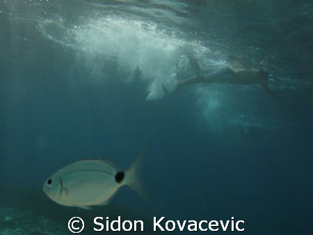 two of them by Sidon Kovacevic 