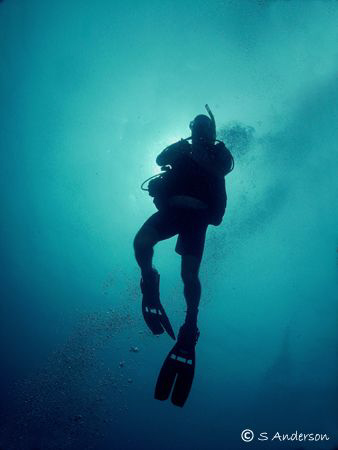 Final shots during ascent. This photo was taken in Roatan... by Steven Anderson 