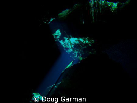 Different shot from about 50 feet looking up into Jungle by Doug Garman 