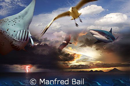 composing photoshop by Manfred Bail 