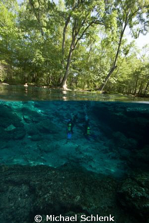 Scuba training @ Ginnie Springs
Freshwater diving in the... by Michael Schlenk 