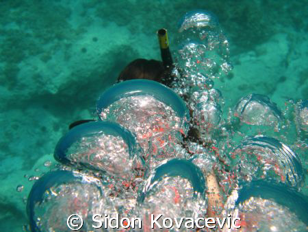 try to dive for a first time by Sidon Kovacevic 