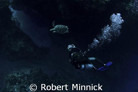 Malena and a Green sea turtle by Robert Minnick 