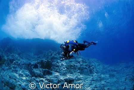 Stormy dive by Victor Amor 
