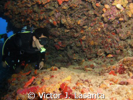 mr. bruno at mermaid point in parguera area!!!PUERTO RICO by Victor J. Lasanta 
