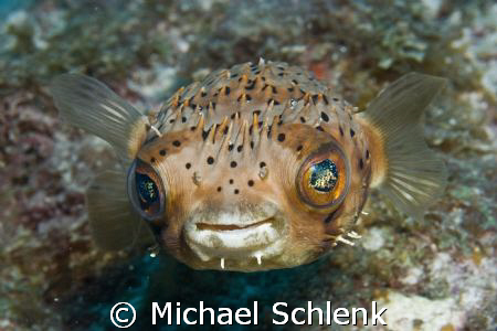 Don't worry....be happy! by Michael Schlenk 