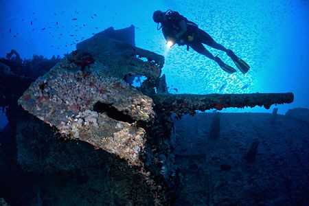 Stern Gun on the Thistlegorm, Red Sea, Egypt. by Jim Garland 