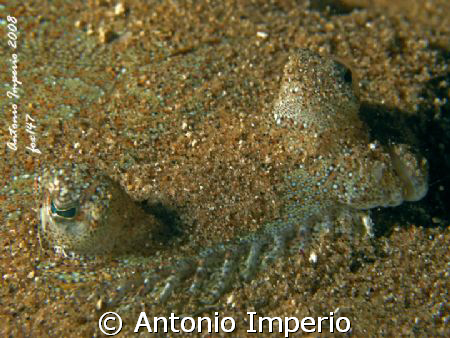 Occhio indiscreto by Antonio Imperio 