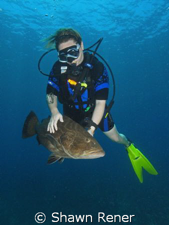 Diver with very friendly Grouper.
Sea & Sea DX 1G by Shawn Rener 