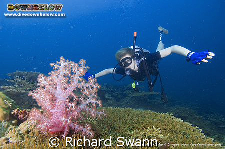 Hi Guys, No time to post lately been a bit busy with my n... by Richard Swann 