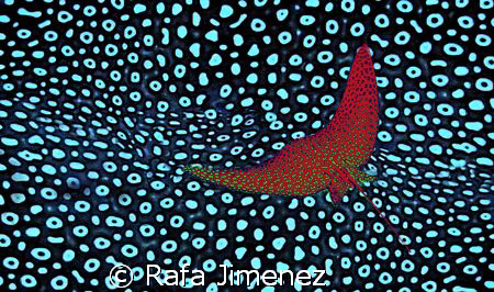 a dress desing start up, mantas are my allucinating best ... by Rafa Jimenez 
