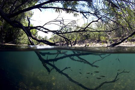 I lugged my rig on a hike up to a creek in tropical Queen... by Cal Mero 