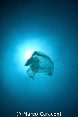 PLASTIC JELLYFISH by Marco Caraceni 