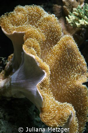 This was taken in Monterey, California by Juliana Metzger 