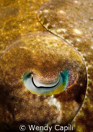 Another eye abstract but this time, it's the sleepy eye o... by Wendy Capili 
