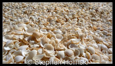 Beach in Western Australia made entirely from Shells.  Wi... by Stephen Holinski 