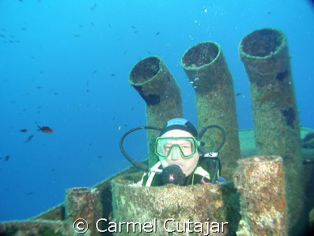 image shot with the Sony HDR HC1Ein camera mode useing ek... by Carmel Cutajar 