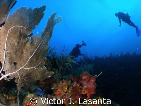 joel and patricia working out his photographer skills  at... by Victor J. Lasanta 