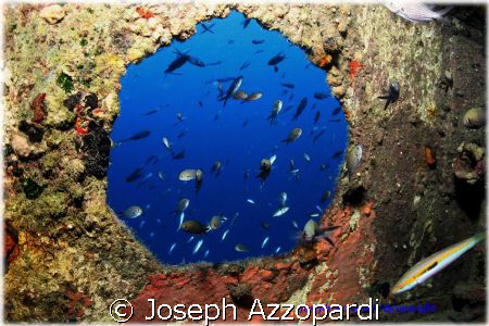 Rozi wreck the hole thing, Cirkewwa Malta by Joseph Azzopardi 