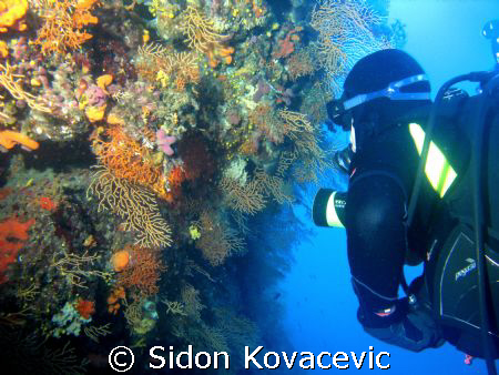 island solta 40 deep on the wall by Sidon Kovacevic 