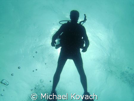 Diver over the Inside Reef at Lauderdale by the Sea by Michael Kovach 