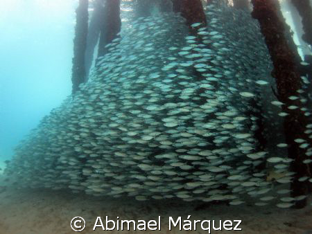 School, Crash Boat Pier, Aguadilla, P.R. by Abimael Márquez 