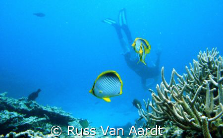 This photo taken with a Sony W30 in a sport case at a dep... by Russ Van Aardt 
