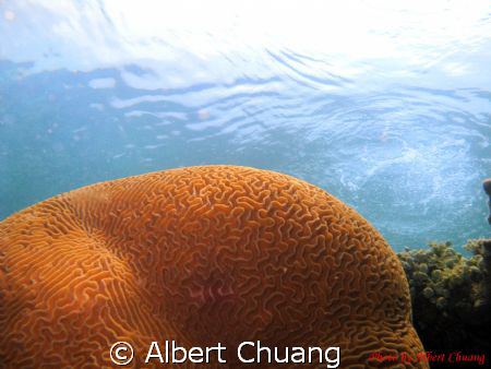 Perfect sun lighting.Taken by Canon Powershot A720Is Hous... by Albert Chuang 
