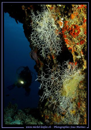 The entrance of a small cave... :O) ... by Michel Lonfat 