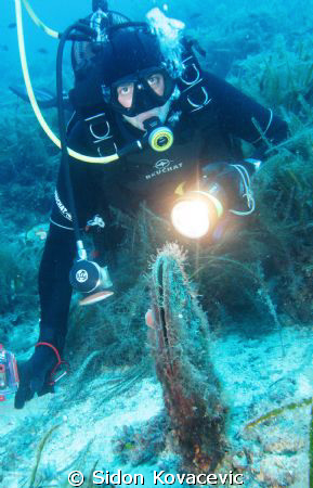 big old shell
we call it periska by Sidon Kovacevic 