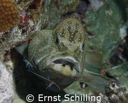 I want to be clean ! by Ernst Schilling 